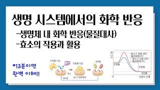 [개정 통합과학] 생명시스템에서 화학 반응 l 생명체 내 화학 반응(물질대사), 효소의 작용과 활용
