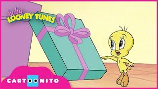 Baby Looney Tunes | Christmas Presents | Cartoonito UK