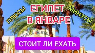 ЕГИПЕТ в январе 2022 / СТОИТ ЛИ ЕХАТЬ? Плюсы и минусы отдыха в Египте в январе (зимой)Шарм эль шейх