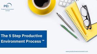 Barbara Hemphill's The 5 Step Productive Environment Process™