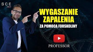 Wygaszanie zapalenia za pomocą forskoliny  - Professor odc. 114