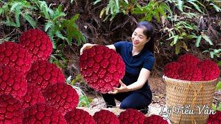 Harvest Red Wild Pineapple & Goes to the Market sell - Harvesting and Cooking | Daily Life