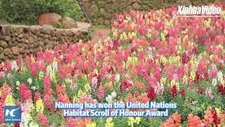 Wandering in sea of flowers in Nanning, China