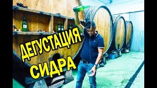 ПАЛИМ секреты СИДРА. Дегустация сидра домашнего и не только. Рецепт сидра из яблок. Cider. Сидр.