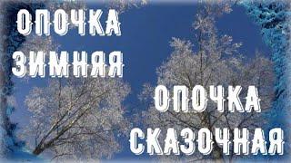ОПОЧКА ЗИМНЯЯ -  ОПОЧКА СКАЗОЧНАЯ