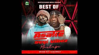 Best Of Asake vs Seyi Vibez 2023 Mixtape - Djdanney THE MAGIC FINGER [08145648370]