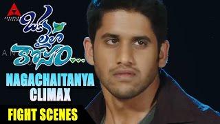 Nagachaitanya Climax Fighting Scene - Oka Laila Kosam Movie - Naga Chaitanya, Pooja Hegde