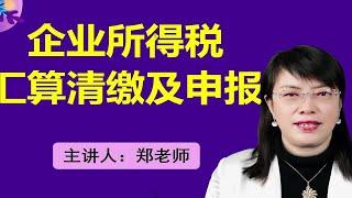 企业所得税年度汇算清缴及33张纳税申报表的填写技巧和方法