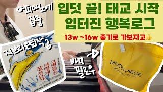  피아노 배우는 임산부  | 2차 기형아 검사️ | 문피스 바디필로우   | 13주 ~ 16주 임신 다이어리 ️ | 산후조리원 계약 |신차 출고 |