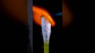 Cotton Bud Macro | Macro Close Up Experiment | Macro Experiments  #calming #experiment  #satisfying