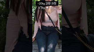 -20kg 현실적인 감량 과정