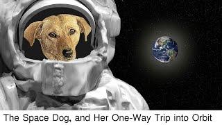 The Sad Story of Laika First Dog in Space - Popular Data