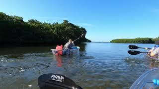 Clear Kayaking to Shell Key - Tierra Verde, FL