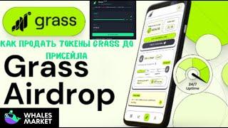 GRASS КАК ПРОДАТЬ ДО ПРИСЕЙЛА | WHALES MARKET КАК ИСПОЛЬЗОВАТЬ