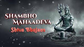 Shambho Mahaadeva | Priya - Subhiksha Rangarajan | Shiva Bhajans | Daily bhajans