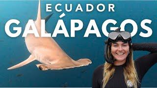 Why you NEED to visit THE GALAPAGOS ISLANDS, Ecuador 2024