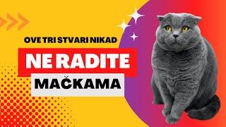 Ove tri stvari nikako ne radite mačkama!