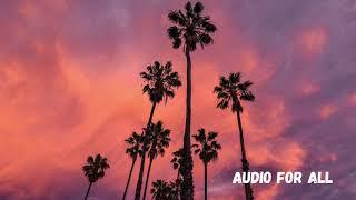 Ehrling - Chasing Palm Trees (Vlog No Copyright Music)