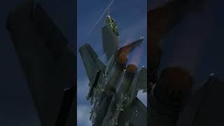 INTENSE Dogfight between an F-15 and Su-27