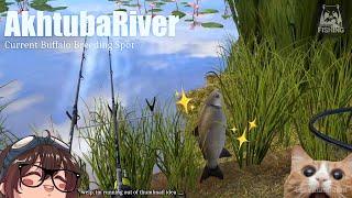 (Russian Fishing 4) Akhtuba River 100 Fishie!! Current Buffalo Breeding Spot - Less Wild Carps Here!