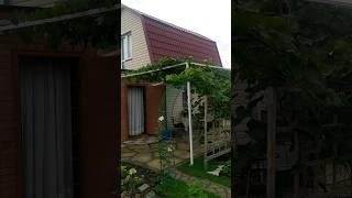 #сибирь #дача #омск #дачный домик #shorts