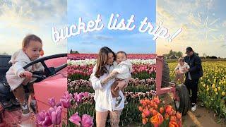 GOING TO THE FAMOUS TULIP FIELDS!!!!!!!!