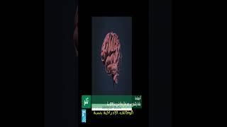 لغز العقل البشري: حقائق صادمة!   علم نفس #العقل #أسرار