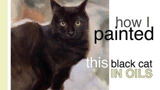 How I Painted This BLACK CAT In Oils. Oil Painting Tutorial