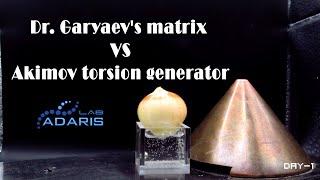 Dr. Garyaev's MBER VS Akimov torsion generator