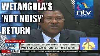 Wetangula steers clear of fake gold scam as he addresses senate