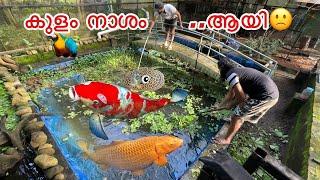 കുളം വറ്റിക്കണം.. പണി ആണ്  | Natural pond Restoration 