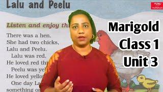 Marigold Class 1 Unit 3 | Laalu And Peelu | Lalu And Peelu Lesson in Hindi | Monu Mams Pathshala