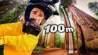 THIS IS WHAT THE LARGEST TREES IN THE WORLD LOOK LIKE  SEQUOIA NATIONAL PARK AND YOSEMITE | E283