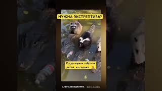 И они потом ещё:а чё не так-то?#прикол #смешно #смешное #смешноевидео #смешные #смешныевидео #топ