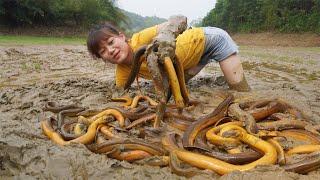 Catch eels underground, How to find eels underground - Harvest eels go to the village sell