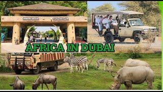 WTF! Dubai took Animals and Trees from Africa, AND CREATED their Africa