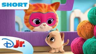 SuperKitties Su-Purr Adventures! | Ginny's Pawsome Party Prep  | @disneyjr