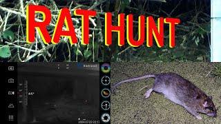 RAT HUNT