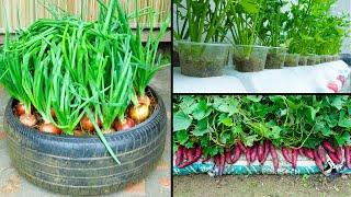 How To Do Organic Gardening For Small Spaces?