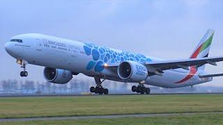 Polderbaan Planes ROOARING At Take Off, Amsterdam Schiphol Airport B787, B747, A350-1000, A330