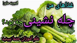 برای موفقیت در چله نشینی و دعوات چه غذاهایی را مجازیم بخوریم؟پرهیزات چله،آموزش علوم غریبه،ترک حیوانی