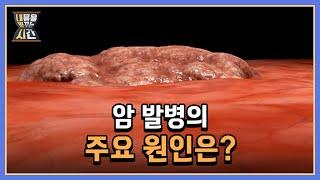 국내 암 환자 200만 명 시대… 암 발병의 주요 원인은? MBN 220904 방송