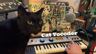 Cat × Vocoder