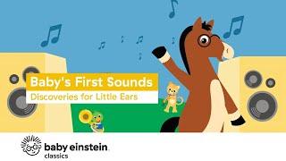 Baby's First Sounds + More Baby Einstein Classics | Learning Show for Toddlers | Kids Cartoons