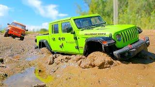 Mud, Sand, and Speed: RC Adventures with Toyota Prado, Land Rover Discovery, and Jeep Gladiator