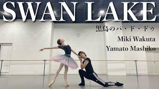 【本気バレエ #15】白鳥の湖より黒鳥のパ・ド・ドゥ | Black Swan Pas de deux from Swan Lake Act lll