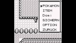 Ein Missingno Fangen