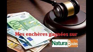 Présentation des enchères gagnées sur Naturabuy