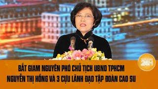 Vì sao nguyên Phó Chủ tịch UBND TPHCM Nguyễn Thị Hồng bị khởi tố?