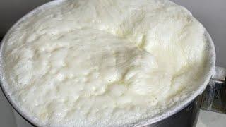 How to make curd from milk / homemade curd #curd #instant #milk #curdrecipe #homemade #tasty